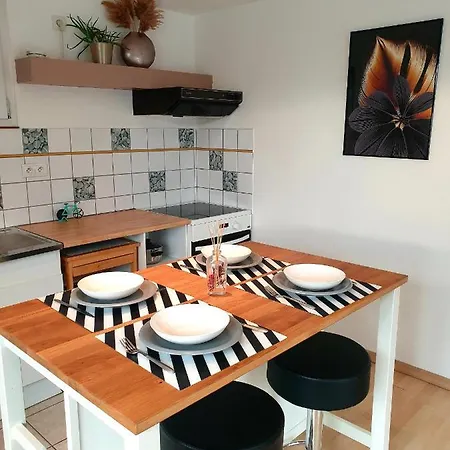 Proche D'europa Park/marches De Noel アパート Rhinau