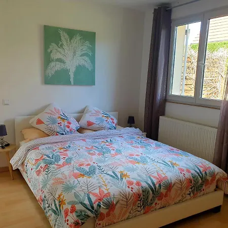 Proche D'europa Park/marches De Noel アパート Rhinau