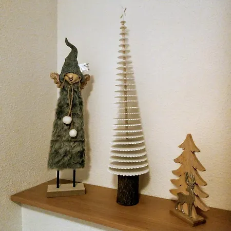 Proche D'europa Park/marches De Noel *